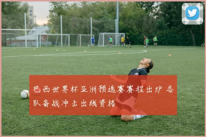 巴西世界杯亚洲预选赛赛程出炉 各队备战冲击出线资格